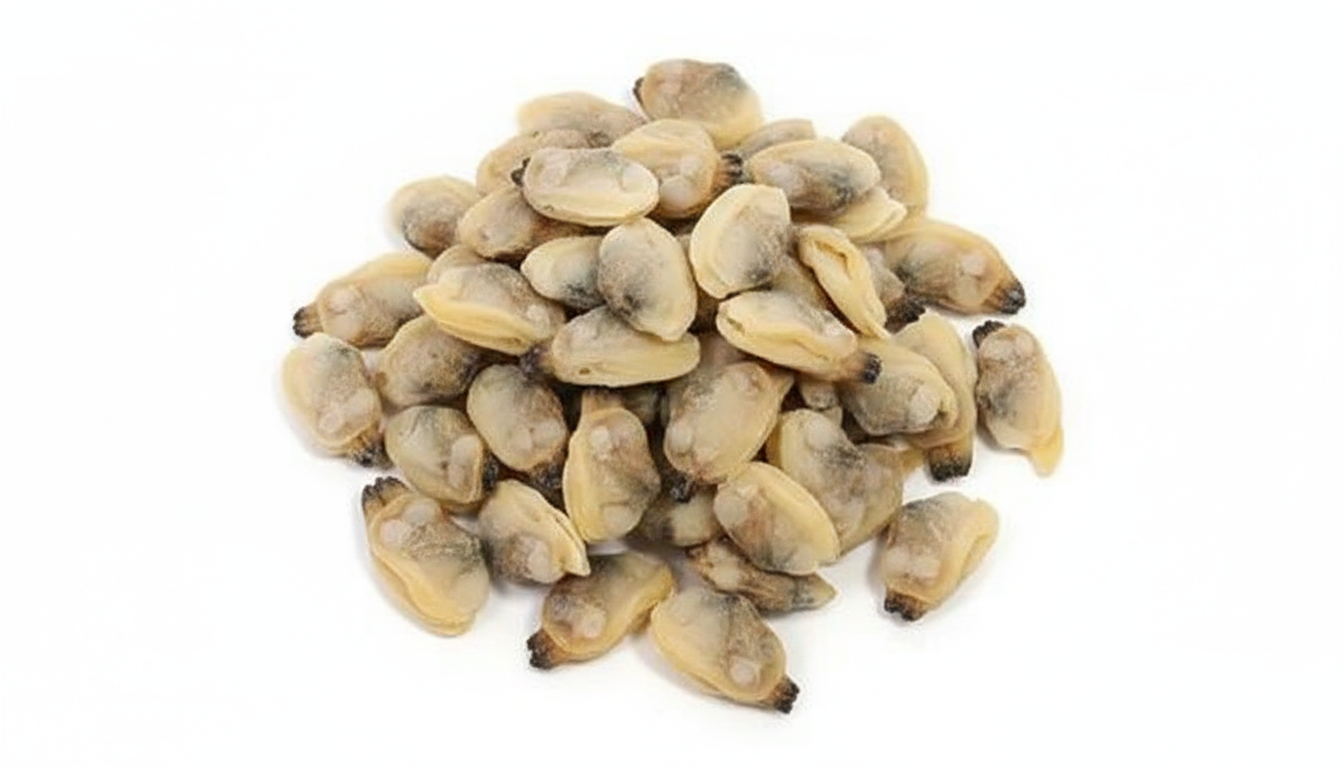 Clam Meat